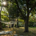 10 Bizarre Discoveries Unearthed in People’s Backyards