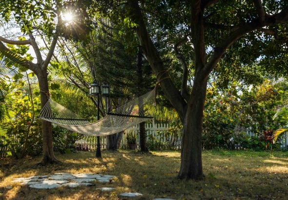 10 Bizarre Discoveries Unearthed in People’s Backyards